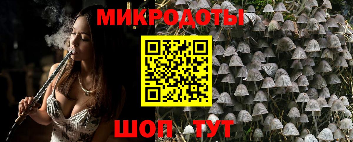 хочу   Псилоцибиновые грибы Magic Shrooms  Галлюциногенные грибы Cubensis  Вход с VPN  Шебекино 