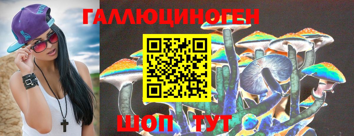 Псилоцибиновые грибы Psilocybine cubensis Шебекино